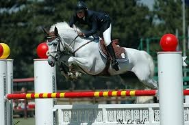 Quiz Galop 1