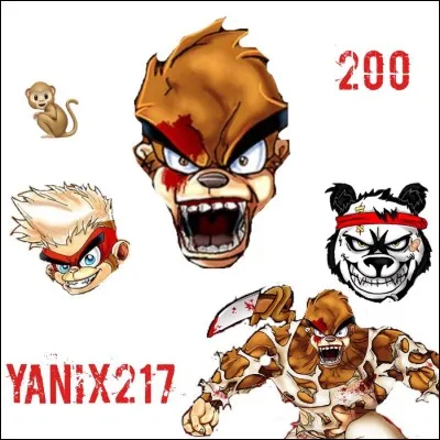 Sur quoi portent ses vidéos ?