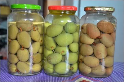 Comment appelle-t-on une olive au Portugal ?