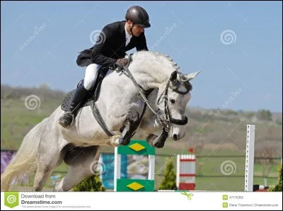 L'équipement du cavalier vaut ... en moyenne