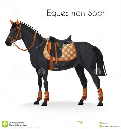 L'équipement d'un cheval coûte en moyenne ....