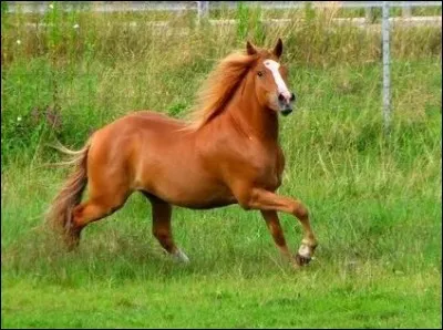 Quelle est cette robe ?