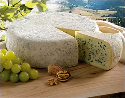 Voici un fromage persillé de la région de l'Isère !