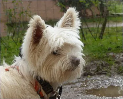 J'ai appris que l'un des principaux freins à l'adoption est...