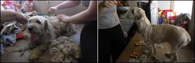 14 % des abandons sont directement liés au coût financier annuel qu'engendre notre présence quotidienne.
Avez-vous une idée de ce budget annuel ?