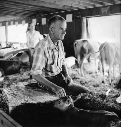 Sans moi, vous ne pourriez pas vivre, et pourtant je suis considéré comme étant au plus bas de l'échelle sociale, et mon niveau de vie est honteusement laminé. Quel est mon métier ?