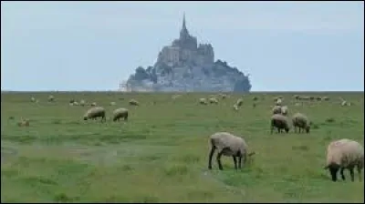 Ils sont inondés lors des hautes marées.