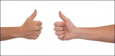 "iPhone 2G" est doté d'un écran...