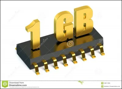 Le 10 juin 2008, Apple met en vente l'iPhone 3G dans 22 pays en deux versions : ... et... Go.