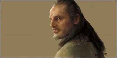 Yoda est persuadé de quoi et débat sur ce sujet avec Qui-Gon Jinn ?