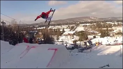 Le ski acrobatique comporte 6 disciplines dont 4 sont pr&eacute;sentes aux Jeux olympiques. Lesquelles ?