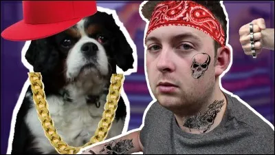 Que pratique Moguiz dans ses vid&eacute;os ?