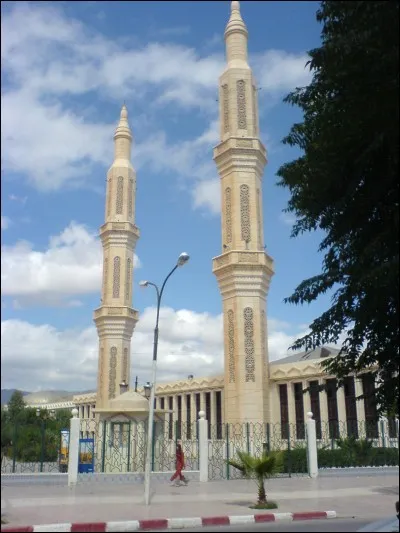 Dans quelle ville se trouve la mosquée du 1er novembre 1954 d'une capacité de 30 000 places ?