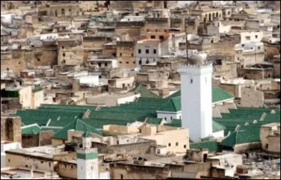 Dans quelle ville se trouve la mosquée al-Quaraouiyine d'une capacité de 20 000 places ?
