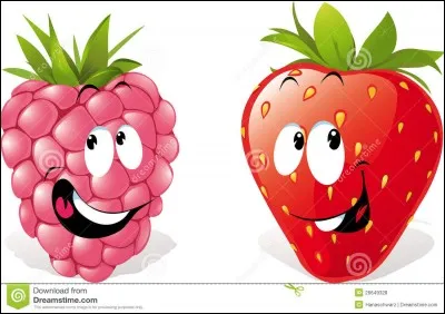 Es-tu plus du genre fraise ou framboise ?