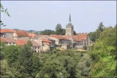 Châtillon-sur-Saône est un village du Grand-Est situé dans le département ...