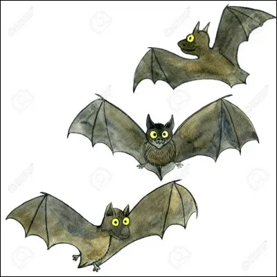 Qui est la plus sinistre ?