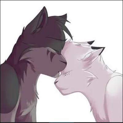 Ce couple de chats est composé de :