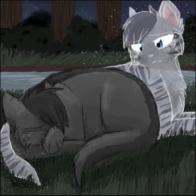 Les chats morts, après une bataille, vont :