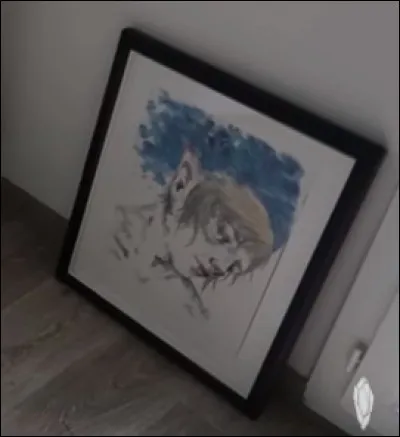 Qui lui a fait les tableaux de sa chambre ?