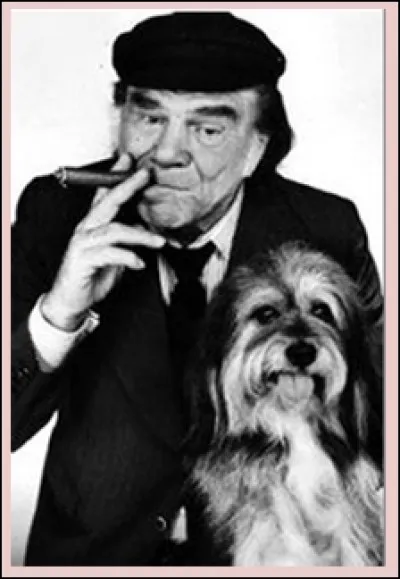 Cet acteur fait partie de :