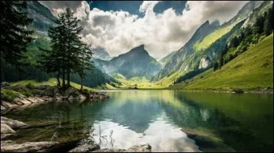 Laquelle de ces trois propositions constitue un acte illégal en Suisse ?