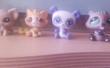 Quiz Animaux