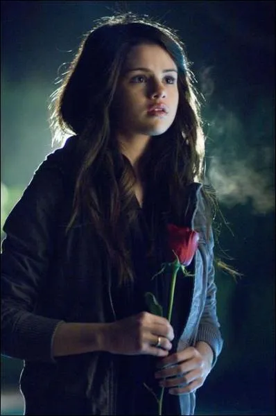 Qui a envoy le Faux message et une rose ?