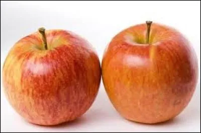 Combien vois-tu de pommes ?