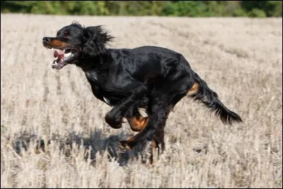 De quel groupe fait-il partie ?