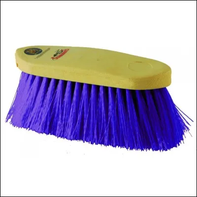 Comment s'appelle cette brosse ?