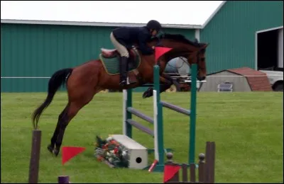 Comment s'appelle ce type d'obstacle ?