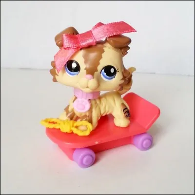 À quel site appartient cette image de LPS.