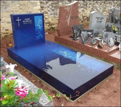 Les vampires dorment dans :