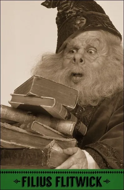 Le professeur Flitwick enseigne...