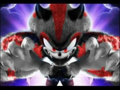 Qui Sonic loup-garou a-t-il tenté d'imiter sur cette image ?