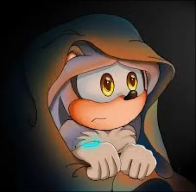 Quel est ce personnage de Sonic ?