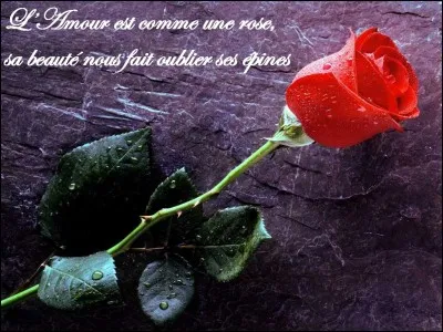 As-tu un amoureux/une amoureuse ?