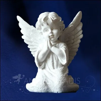 Retrouvez l'auteur de "J'étais un ange" !