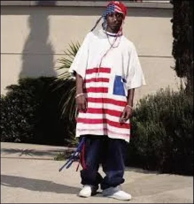 Nommez l'auteur de "Les Ricains" !