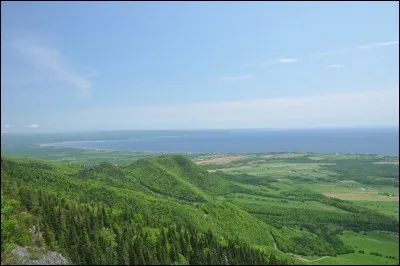 "Un jour, tu verras" est de :