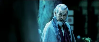 Qu'est devenu Okina avec le début de l'ère Meiji ?