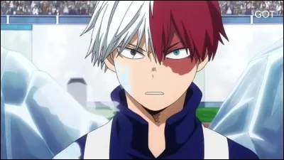 Quelle est la cause de la cicatrice de Shoto ?