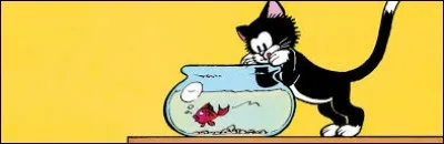 Dernière question dure : Quel est le nom du troisième album de "Poussy", personnage félin créé par Peyo ?