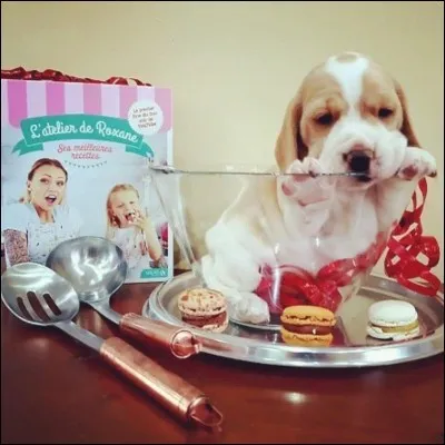 Comment s'appelle sa chienne ?