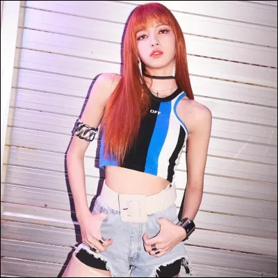 Quel est l'animal préféré de Lisa ?