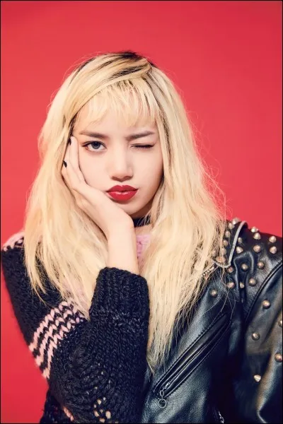 En quelle année Lisa a-t-elle été acceptée à l'audition de YG Entertainment ?