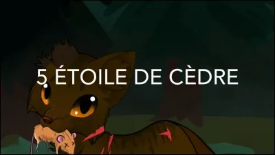 Qui est l'Élu du Clan de l'Ombre ?