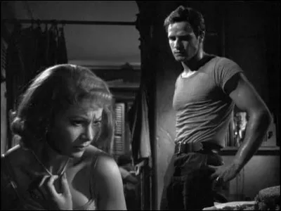 "Un tramway nommé désir", pièce de théâtre écrite par Tennessee Williams, à été porté à l'écran en 1951. Par quel réalisateur ?