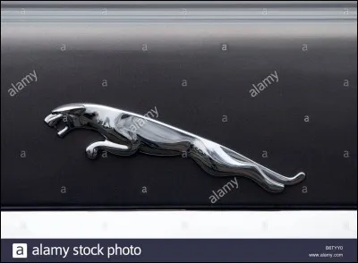 Quelle est la marque de ce logo ?